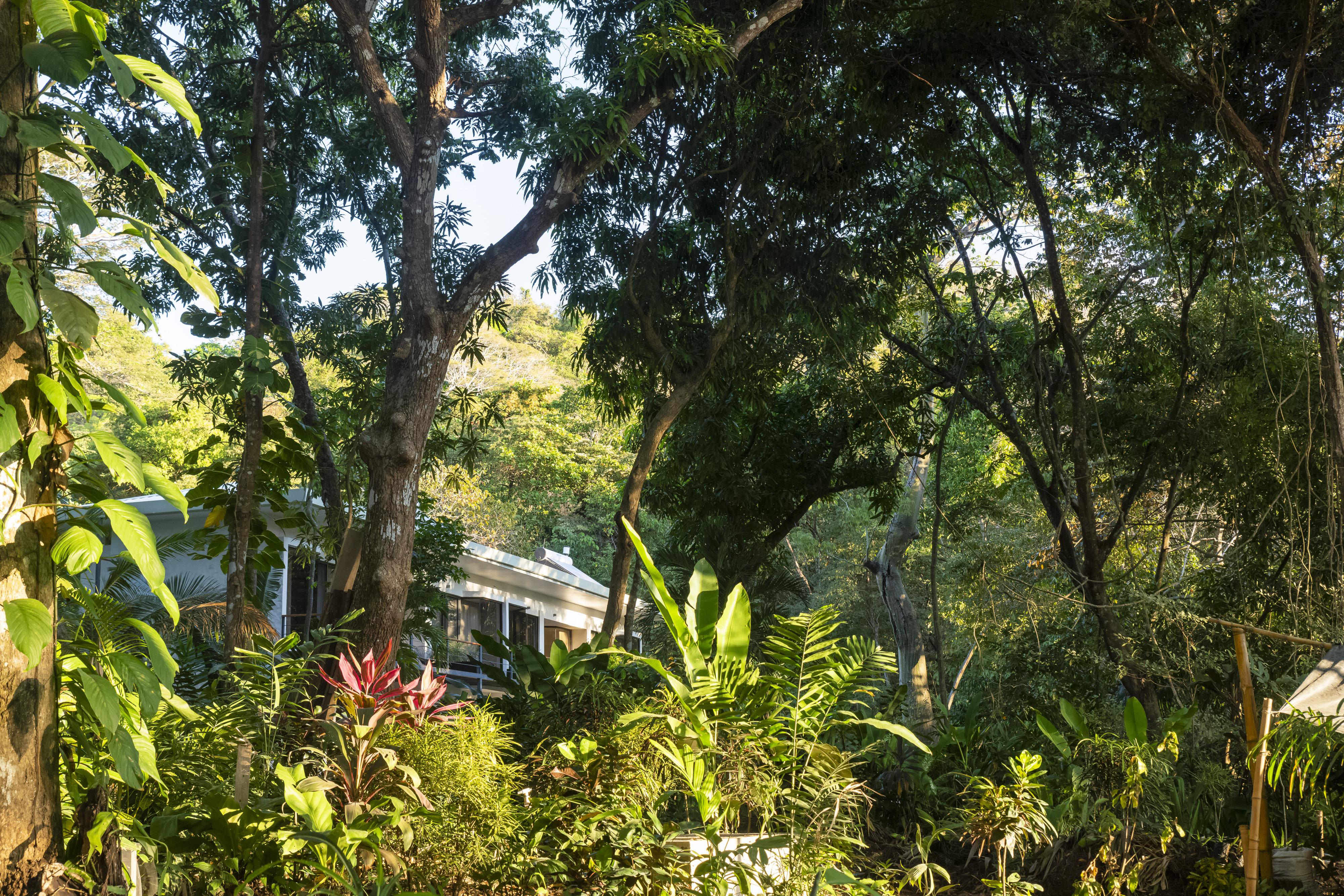Nya Hotel