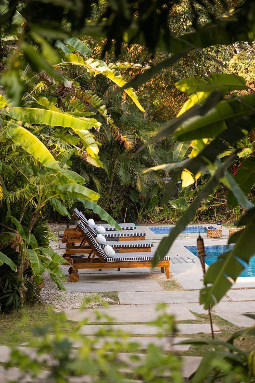 Hotel Nya Montezuma